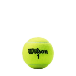 Tennis Equipment Shop -Tennis Equipment Shop WRT1001 0 Black Wilson 1 Ball