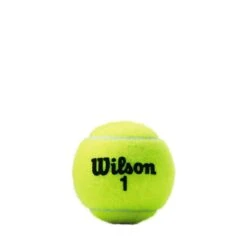Wilson Championship Extra-Duty - Individual Can (3 Balls) -Tennis Equipment Shop WRT1001 0 Black Wilson 1 Ball.png.cq5dam.web .1200.1200