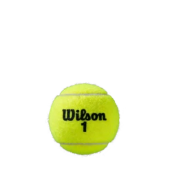 Wilson Roland Garros Clay - Individual Can (3 Balls) -Tennis Equipment Shop WRT125000 3 Roland Garros Official Ball