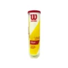 Wilson Championship Extra-Duty - Individual Can (4 Balls) -Tennis Equipment Shop Wilson Championship Extra Duty Individual Can 4 Balls
